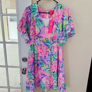Lilly Pulitzer it was all a dream blaire dress